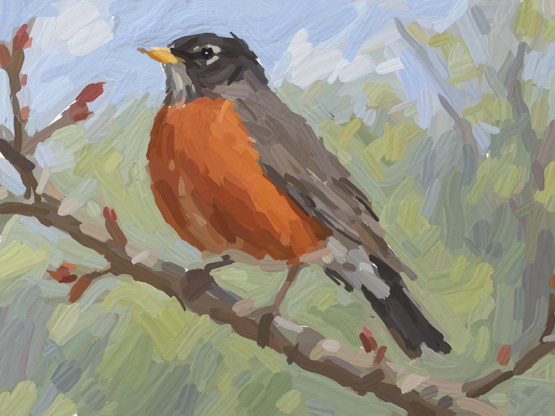 Robin 6.
