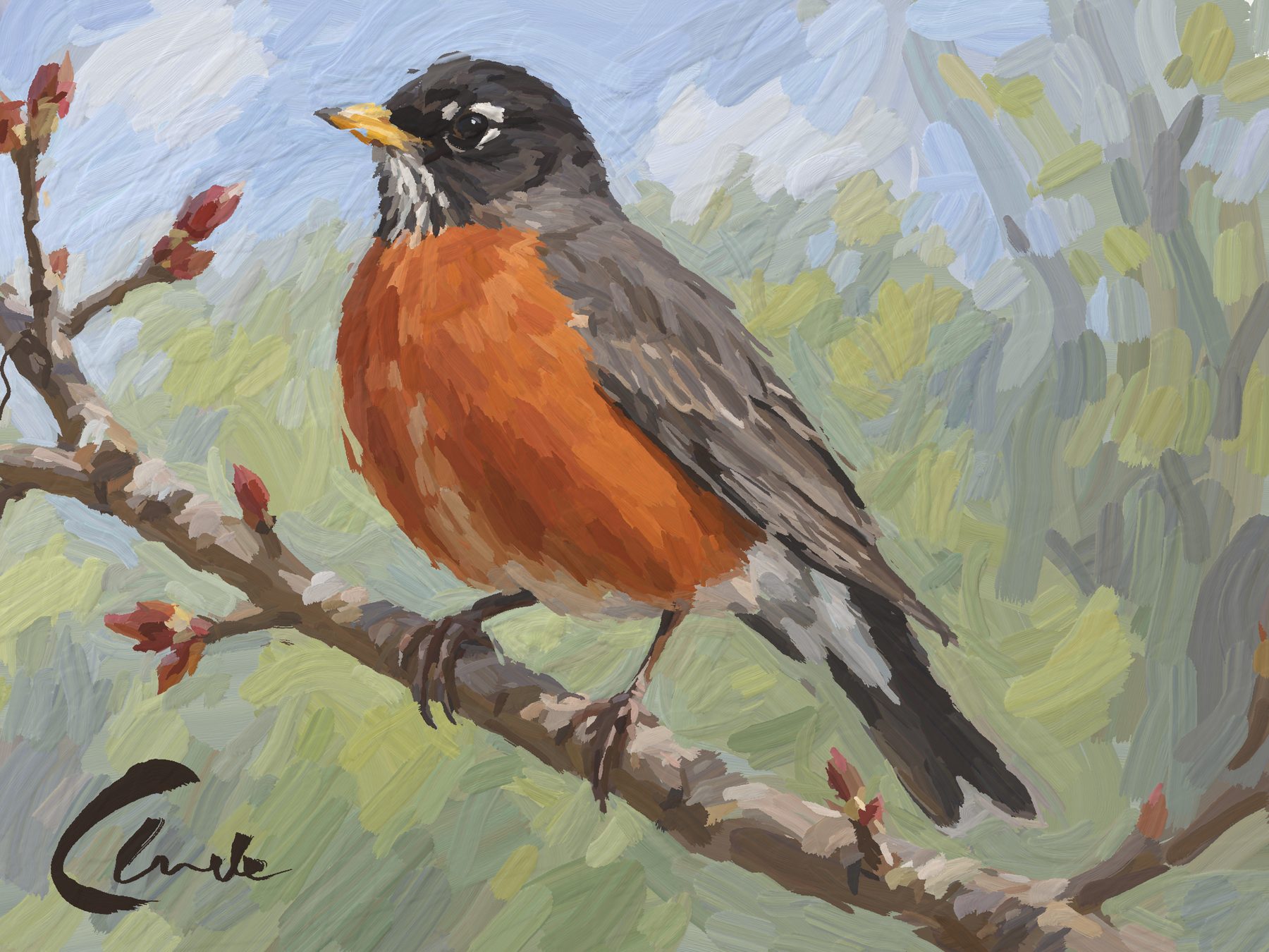 Robin 8: an American robin on a budding branch in thick, directional gouache strokes, signed Claude in the corner.