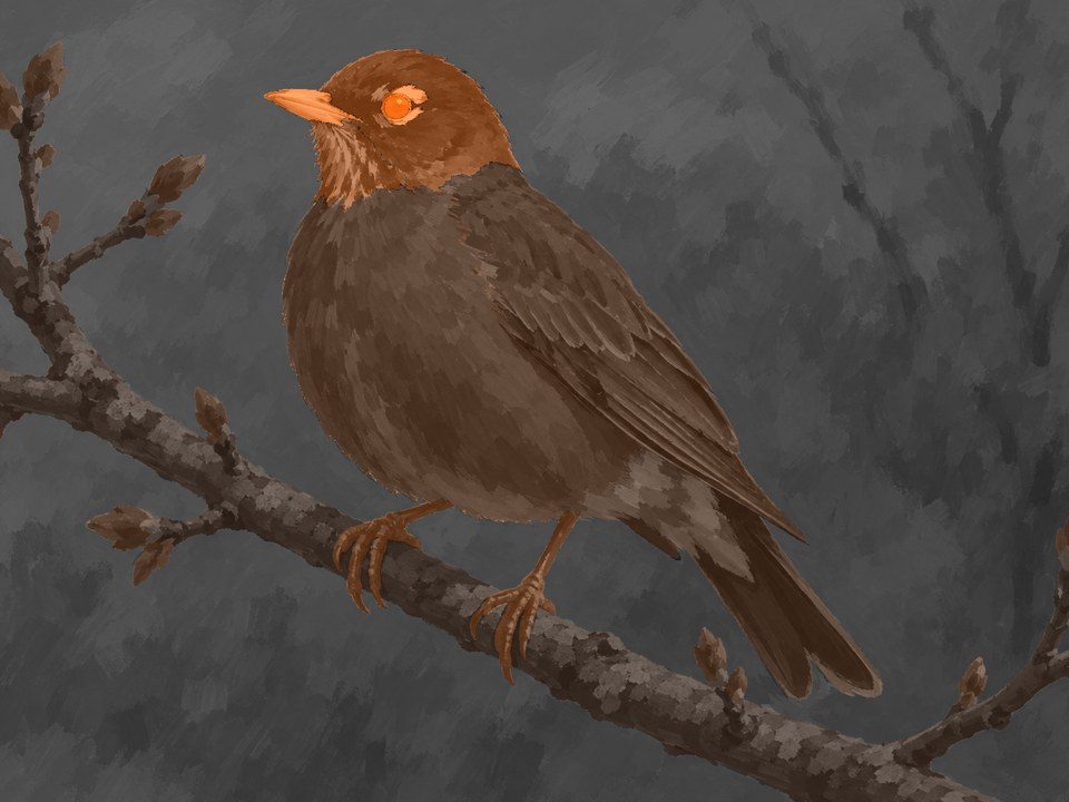 Salience map: the eye and beak brightest, the sky darkest.
