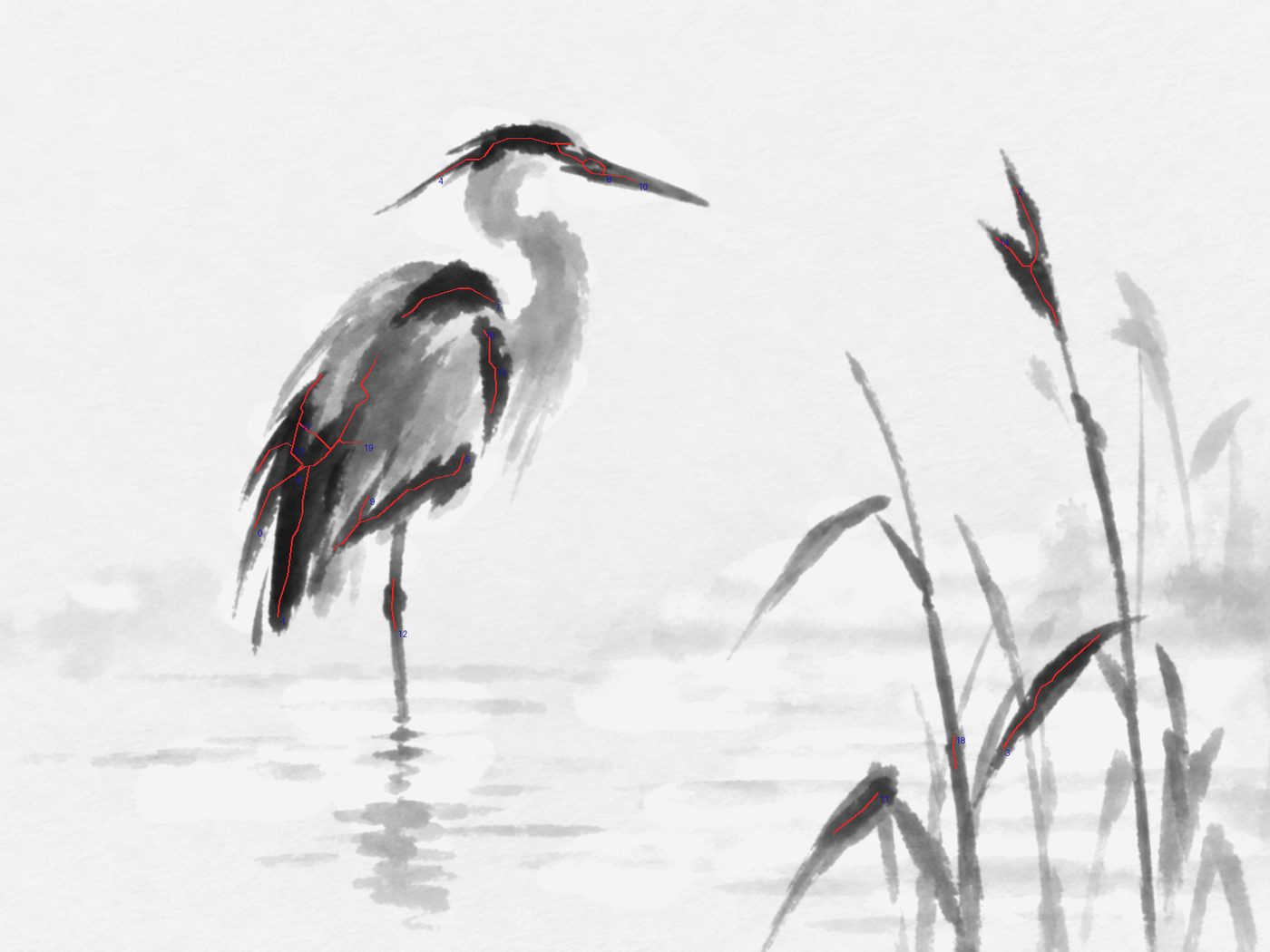 Strokes extracted from the darkest value level of the reference, drawn as colored skeleton lines.