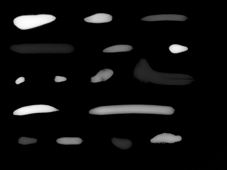 One codebook sheet: dozens of measured ink marks of different shapes, shown light on dark.