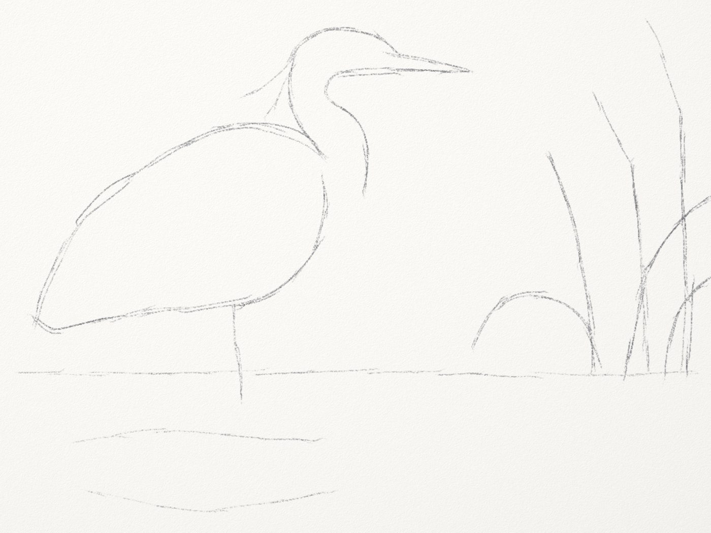 A loose rough pencil sketch of the heron.