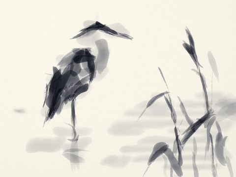 Codebook heron