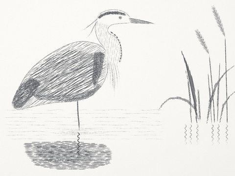 Heron 1