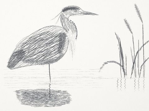 Heron 2