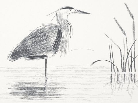 Heron 3