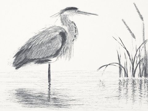 Heron 4