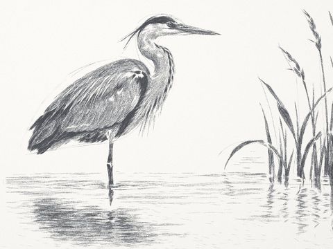 Heron 5